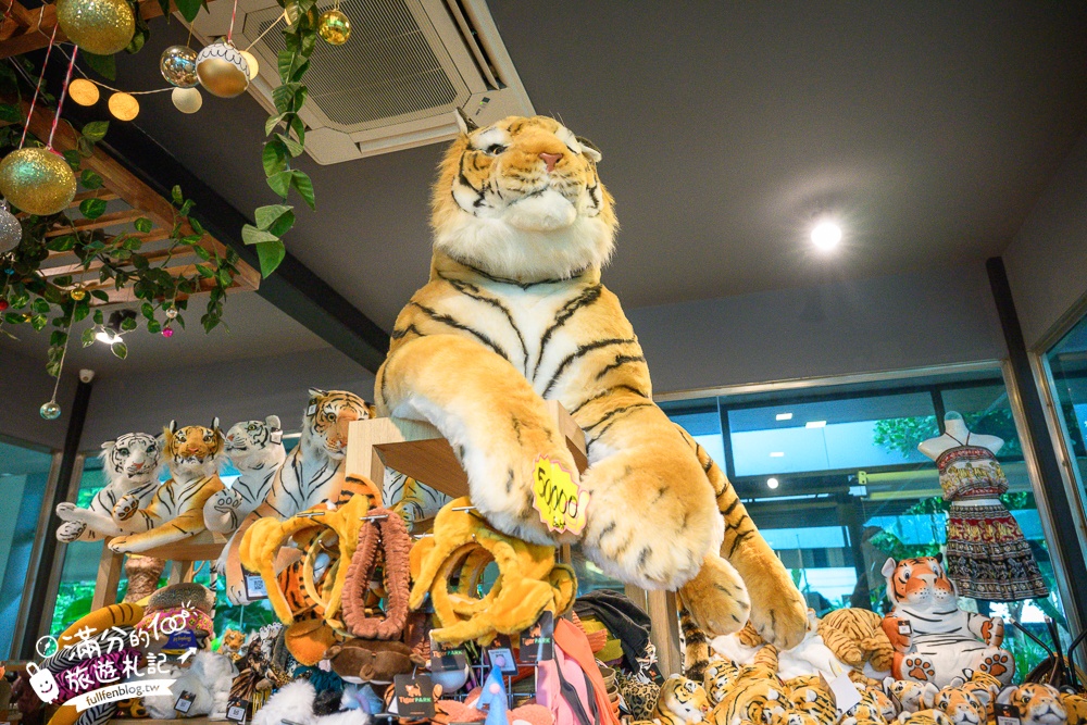 【芭達雅老虎園Tiger Park Pattaya】玩泰國芭達雅必體驗,與老虎的近距離接觸,親子同行也能與小老虎互動拍照唷!