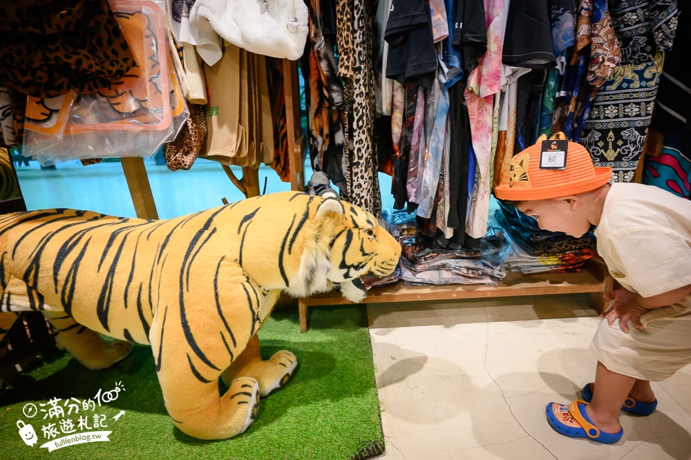 【芭達雅老虎園Tiger Park Pattaya】玩泰國芭達雅必體驗,與老虎的近距離接觸,親子同行也能與小老虎互動拍照唷!