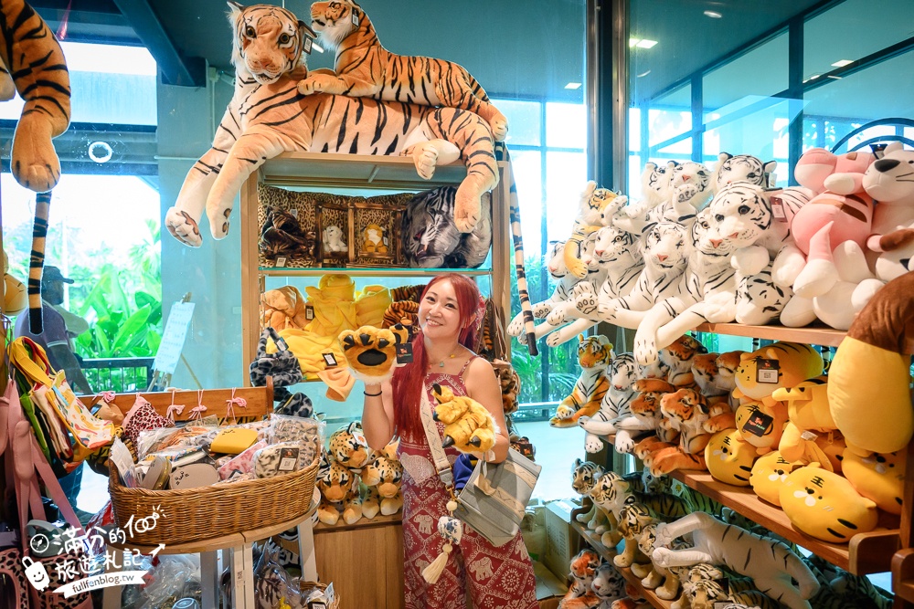 【芭達雅老虎園Tiger Park Pattaya】玩泰國芭達雅必體驗,與老虎的近距離接觸,親子同行也能與小老虎互動拍照唷!