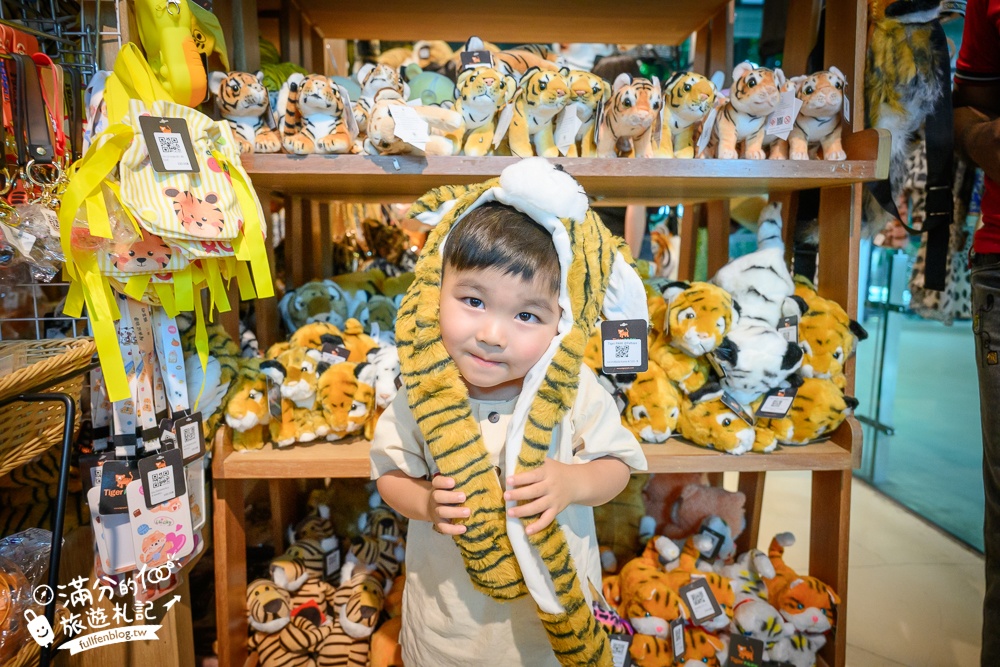 【芭達雅老虎園Tiger Park Pattaya】玩泰國芭達雅必體驗,與老虎的近距離接觸,親子同行也能與小老虎互動拍照唷!