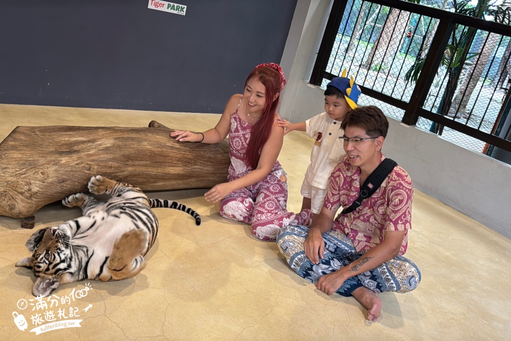 【芭達雅老虎園Tiger Park Pattaya】玩泰國芭達雅必體驗,與老虎的近距離接觸,親子同行也能與小老虎互動拍照唷!
