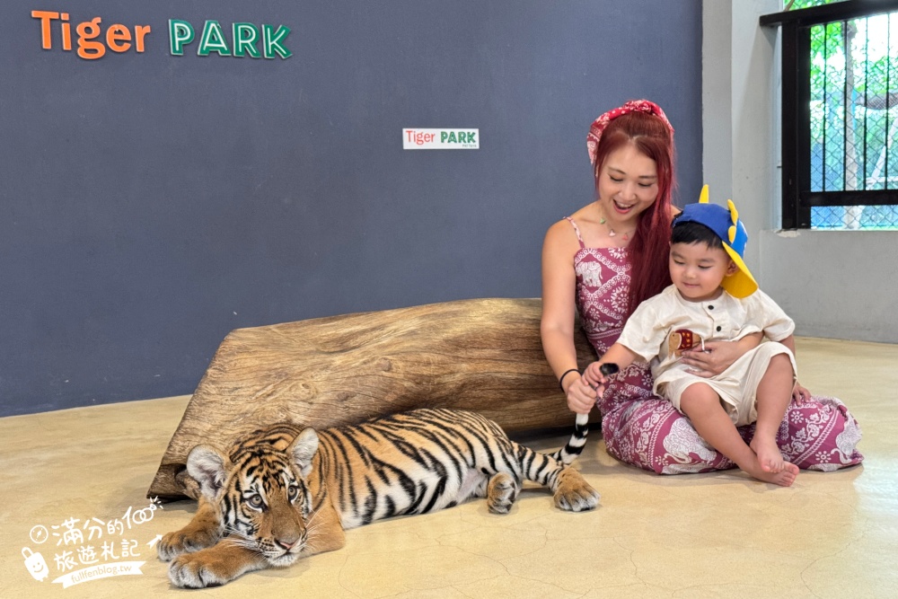 【芭達雅老虎園Tiger Park Pattaya】玩泰國芭達雅必體驗,與老虎的近距離接觸,親子同行也能與小老虎互動拍照唷!