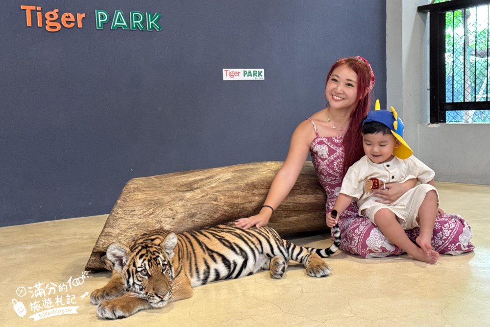 【芭達雅老虎園Tiger Park Pattaya】玩泰國芭達雅必體驗,與老虎的近距離接觸,親子同行也能與小老虎互動拍照唷!
