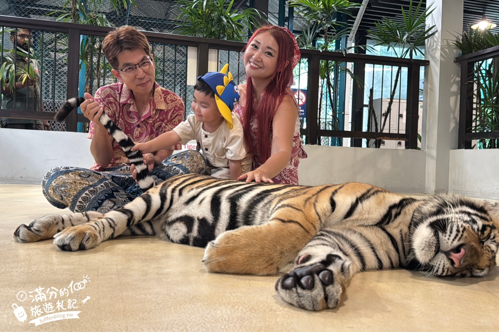 【芭達雅老虎園Tiger Park Pattaya】玩泰國芭達雅必體驗,與老虎的近距離接觸,親子同行也能與小老虎互動拍照唷!