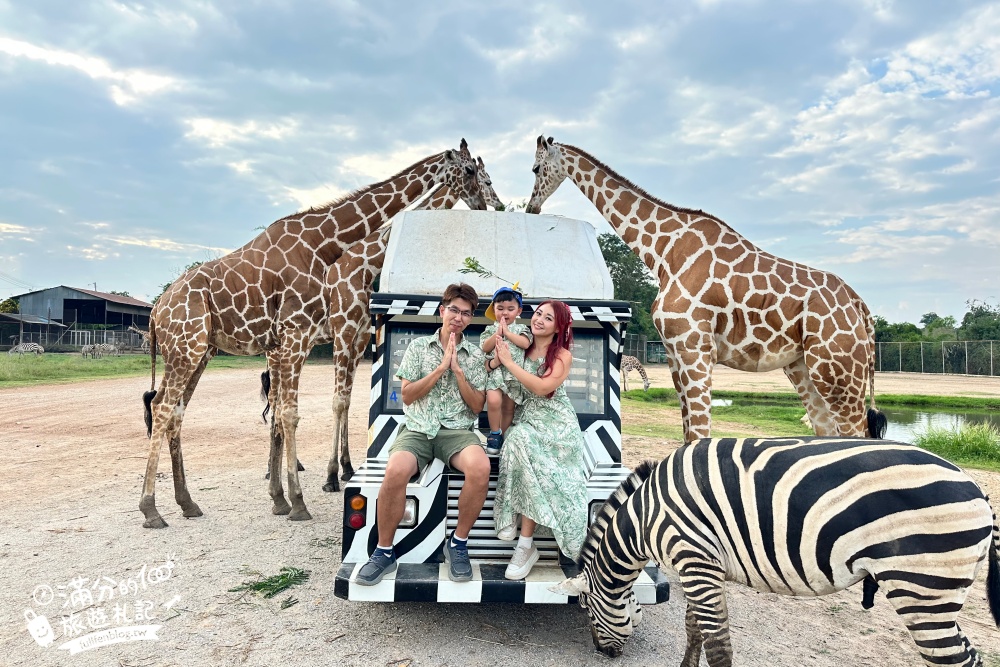 【北碧府野生動物園】泰國長頸鹿吉普車拍照預約攻略.Safari Park Kanchanaburi餵駱駝.梅花鹿和斑馬,外加欣賞大象&鱷魚表演秀!
