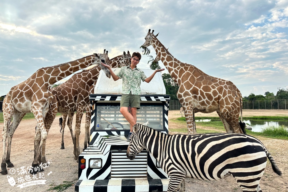 【北碧府野生動物園】泰國長頸鹿吉普車拍照預約攻略.Safari Park Kanchanaburi餵駱駝.梅花鹿和斑馬,外加欣賞大象&鱷魚表演秀!