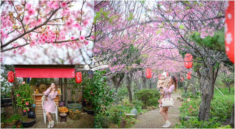 【2025陽明山景點懶人包】TOP30個台北陽明山景點一日遊,逛花園吃美食.看夜景.泡溫泉.賞繡球海芋, 一年四季吃喝玩樂攻略!
