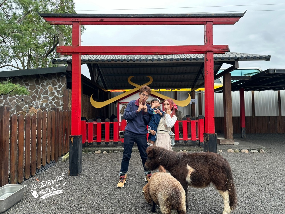 【樹懶餐廳】原張美阿嬤農場2.0版.根本是三星鄉迷你動物園,最新萌寵高地牛登場.還能近距離與樹懶互動超特別！