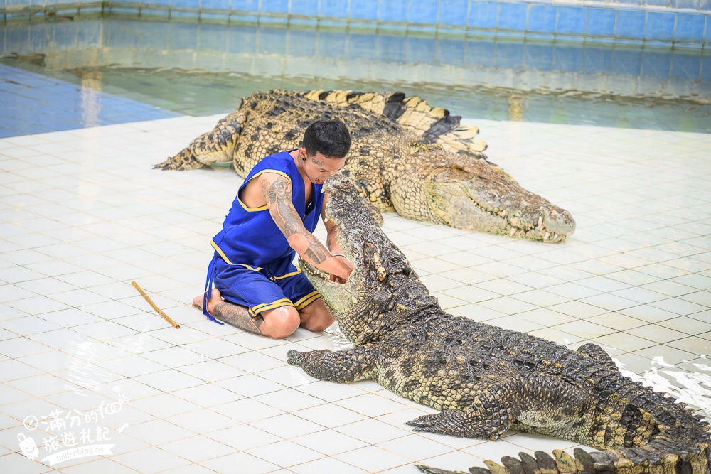 【泰國北碧景點一日遊】TOP6北碧府必玩景點推薦.野生動物園餵長頸鹿.桂河大橋.死亡鐵路.網美咖啡館~專車接送輕鬆玩北碧府!