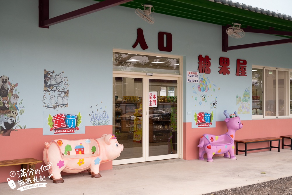 苗栗大湖【童萌農場】草莓故鄉最新親子農場.全台首批斑點駱馬超古錐,還能體驗抱小羊趣味十足!