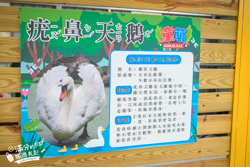 苗栗大湖【童萌農場】草莓故鄉最新親子農場.全台首批斑點駱馬超古錐,還能體驗抱小羊趣味十足!