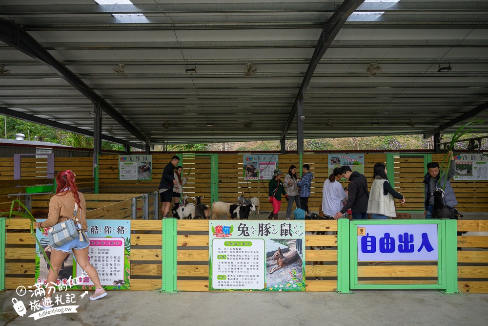 苗栗大湖【童萌農場】草莓故鄉最新親子農場.全台首批斑點駱馬超古錐,還能體驗抱小羊趣味十足!