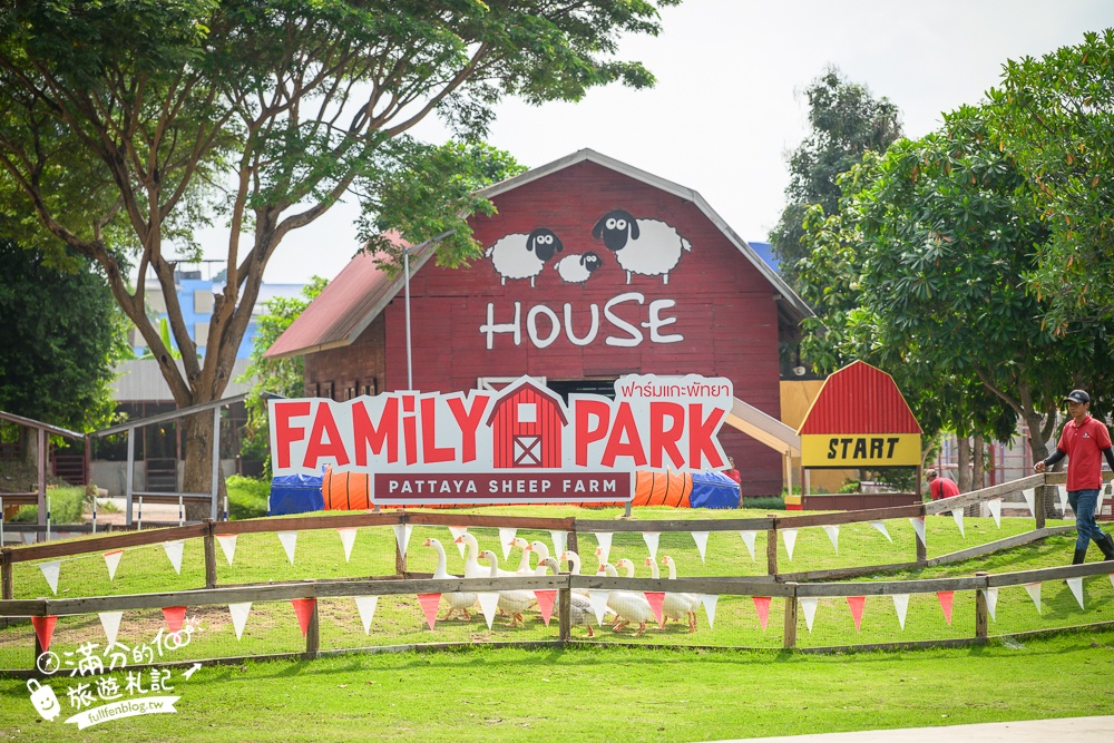 芭達雅親子景點【芭達雅小綿羊農莊】Pattaya Sheep Farm精彩動物運動會,童話故事場景,能餵動物.玩樂園,還能騎馬坐馬車!