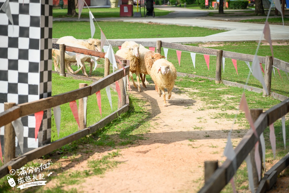 芭達雅親子景點【芭達雅小綿羊農莊】Pattaya Sheep Farm精彩動物運動會,童話故事場景,能餵動物.玩樂園,還能騎馬坐馬車!