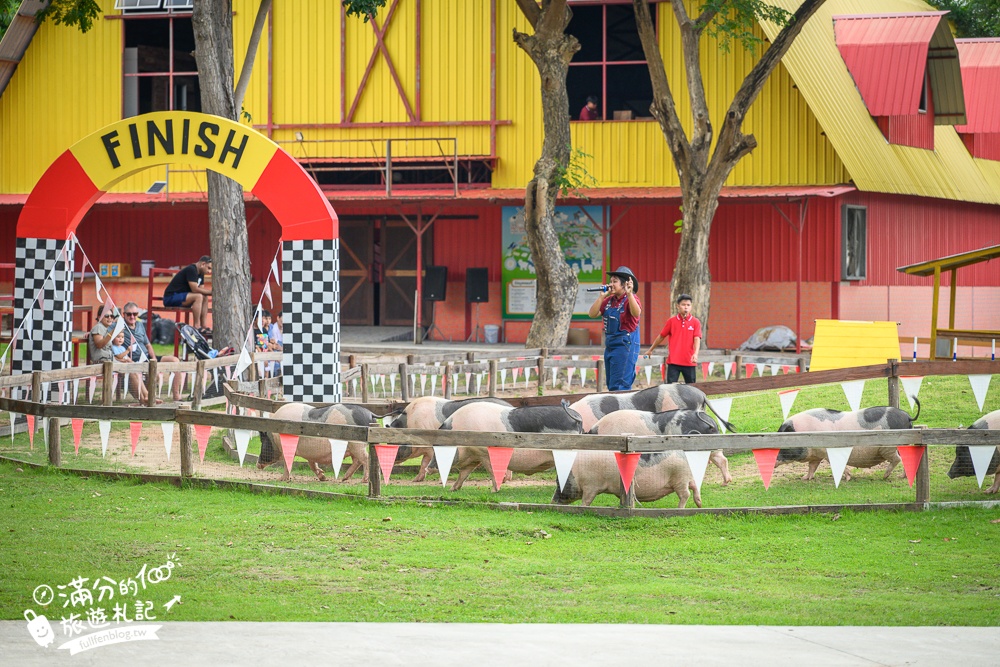 芭達雅親子景點【芭達雅小綿羊農莊】Pattaya Sheep Farm精彩動物運動會,童話故事場景,能餵動物.玩樂園,還能騎馬坐馬車!