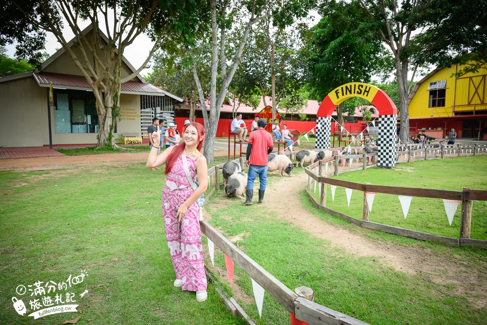 芭達雅親子景點【芭達雅小綿羊農莊】Pattaya Sheep Farm精彩動物運動會,童話故事場景,能餵動物.玩樂園,還能騎馬坐馬車!
