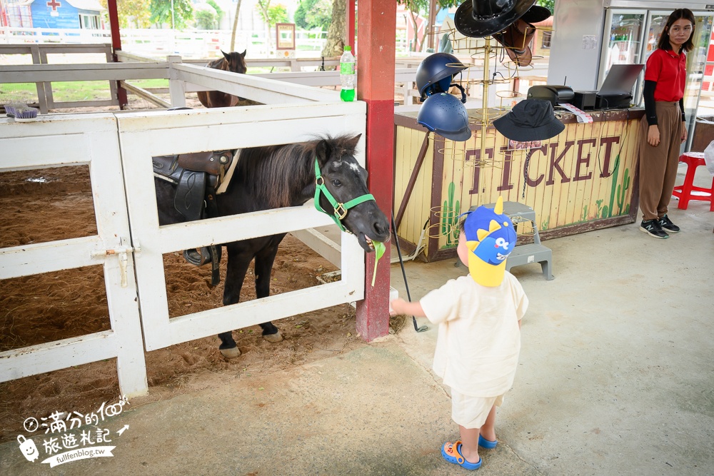 芭達雅親子景點【芭達雅小綿羊農莊】Pattaya Sheep Farm精彩動物運動會,童話故事場景,能餵動物.玩樂園,還能騎馬坐馬車!