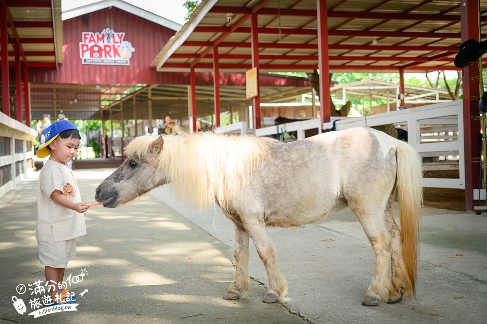 芭達雅親子景點【芭達雅小綿羊農莊】Pattaya Sheep Farm精彩動物運動會,童話故事場景,能餵動物.玩樂園,還能騎馬坐馬車!