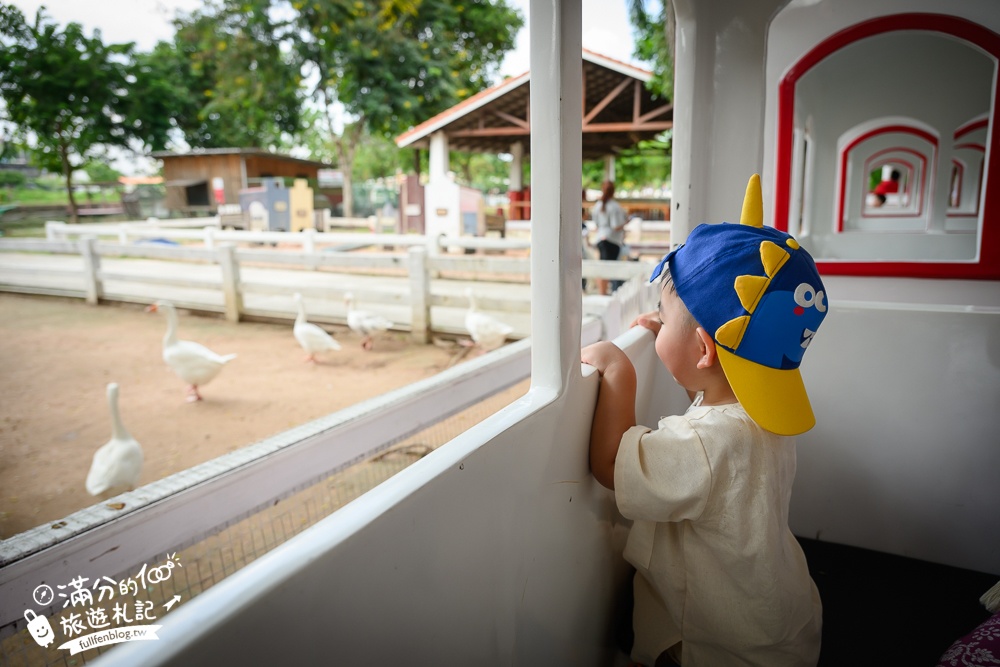 芭達雅親子景點【芭達雅小綿羊農莊】Pattaya Sheep Farm精彩動物運動會,童話故事場景,能餵動物.玩樂園,還能騎馬坐馬車!