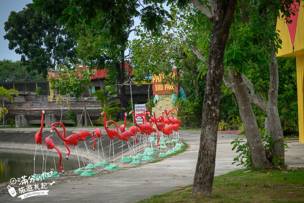 芭達雅親子景點【芭達雅小綿羊農莊】Pattaya Sheep Farm精彩動物運動會,童話故事場景,能餵動物.玩樂園,還能騎馬坐馬車!