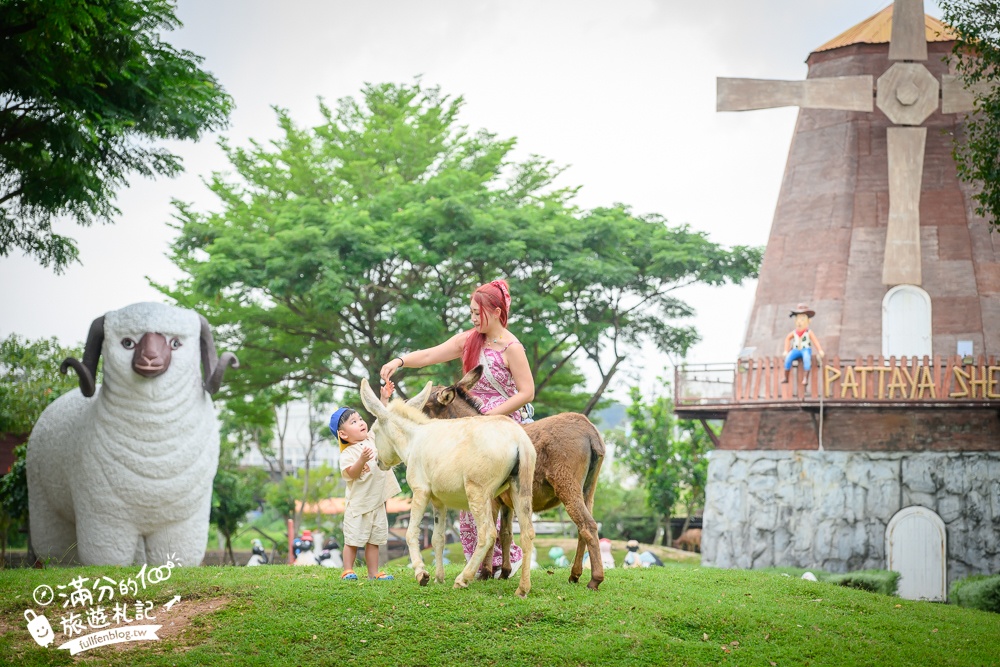 芭達雅親子景點【芭達雅小綿羊農莊】Pattaya Sheep Farm精彩動物運動會,童話故事場景,能餵動物.玩樂園,還能騎馬坐馬車!