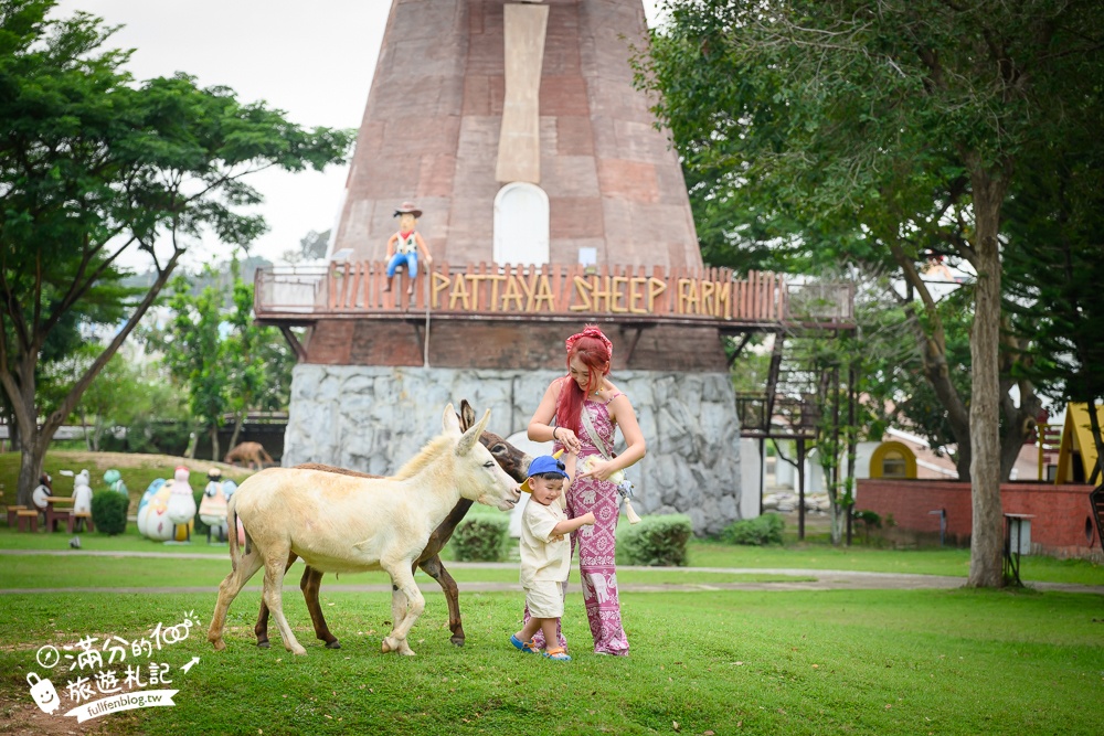 芭達雅親子景點【芭達雅小綿羊農莊】Pattaya Sheep Farm精彩動物運動會,童話故事場景,能餵動物.玩樂園,還能騎馬坐馬車!