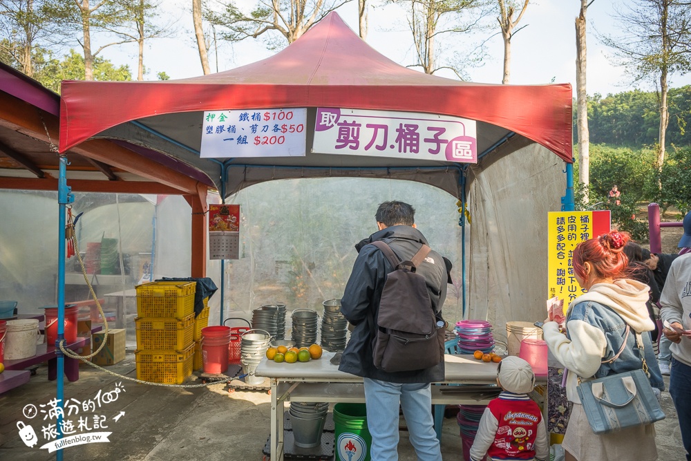 新竹橘子園【桔滿緣寶山農場】入園注意事項,100元門票橘子不限時吃到飽,夢幻橘子山停車及玩樂攻略,如同走進台版濟州島!