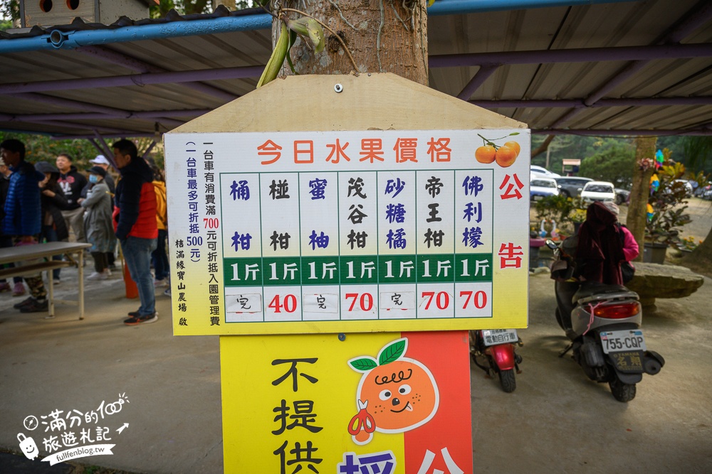 新竹橘子園【桔滿緣寶山農場】入園注意事項,100元門票橘子不限時吃到飽,夢幻橘子山停車及玩樂攻略,如同走進台版濟州島!