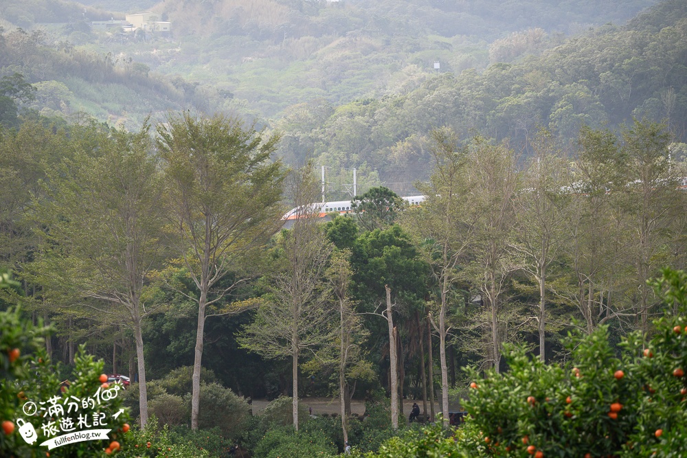 新竹橘子園【桔滿緣寶山農場】入園注意事項,100元門票橘子不限時吃到飽,夢幻橘子山停車及玩樂攻略,如同走進台版濟州島!