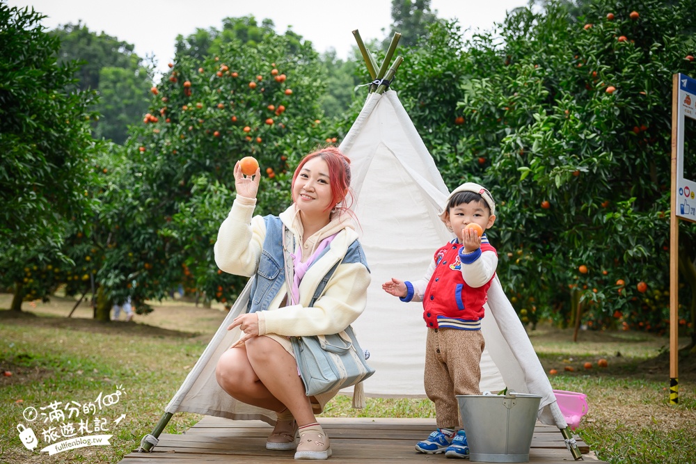 新竹橘子園【桔滿緣寶山農場】入園注意事項,100元門票橘子不限時吃到飽,夢幻橘子山停車及玩樂攻略,如同走進台版濟州島!
