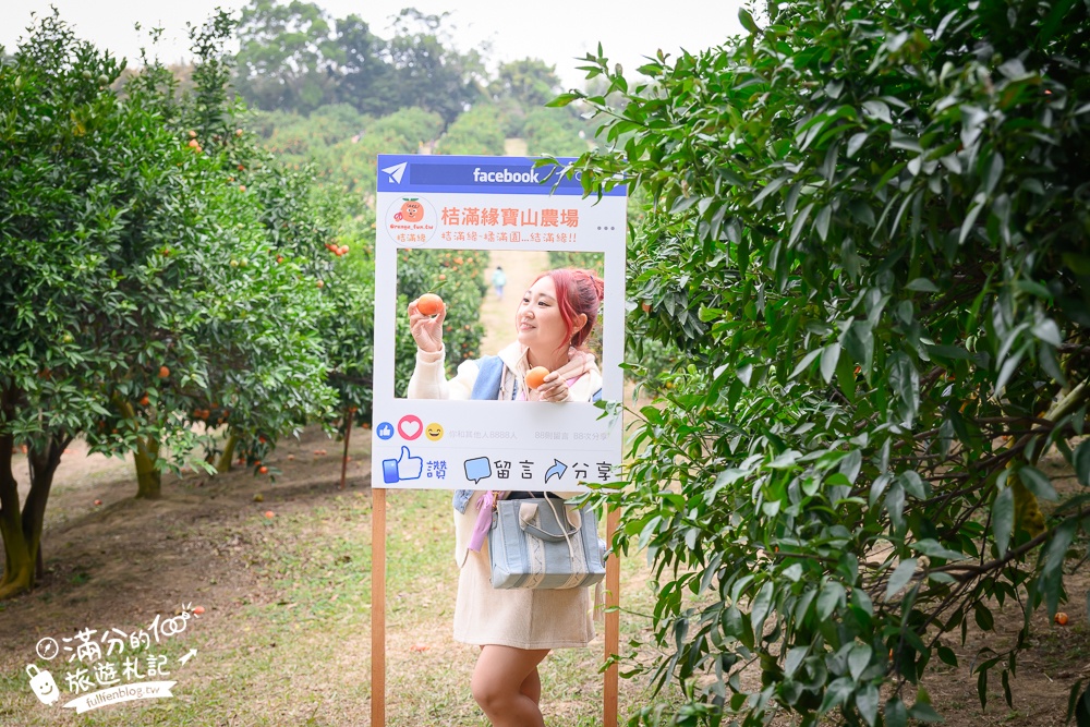 新竹橘子園【桔滿緣寶山農場】入園注意事項,100元門票橘子不限時吃到飽,夢幻橘子山停車及玩樂攻略,如同走進台版濟州島!