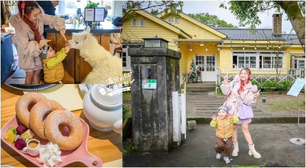 陽明山【大衛小小羊David&#038;Alpaca】全台最大美軍宿舍群改建萌寵餐廳,與羊駝互動好好玩! @滿分的旅遊札記