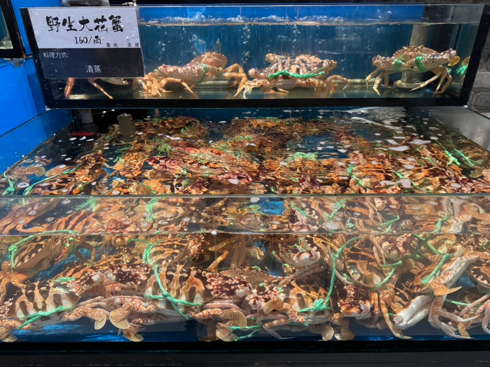 新竹【八庵和風海宴】海鮮控必吃!竹北另類無菜單料理,活跳跳海鮮現選現煮新鮮吃得到,大小家庭聚會首選!