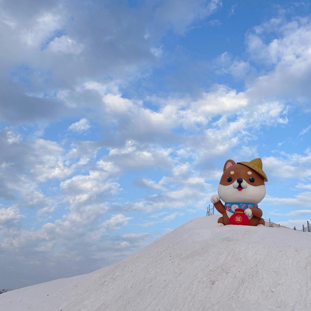 【2026七股鹽山】最新6米高巨型柴犬吉祥物超可愛,台南鹽山雪鹽祭開跑啦!