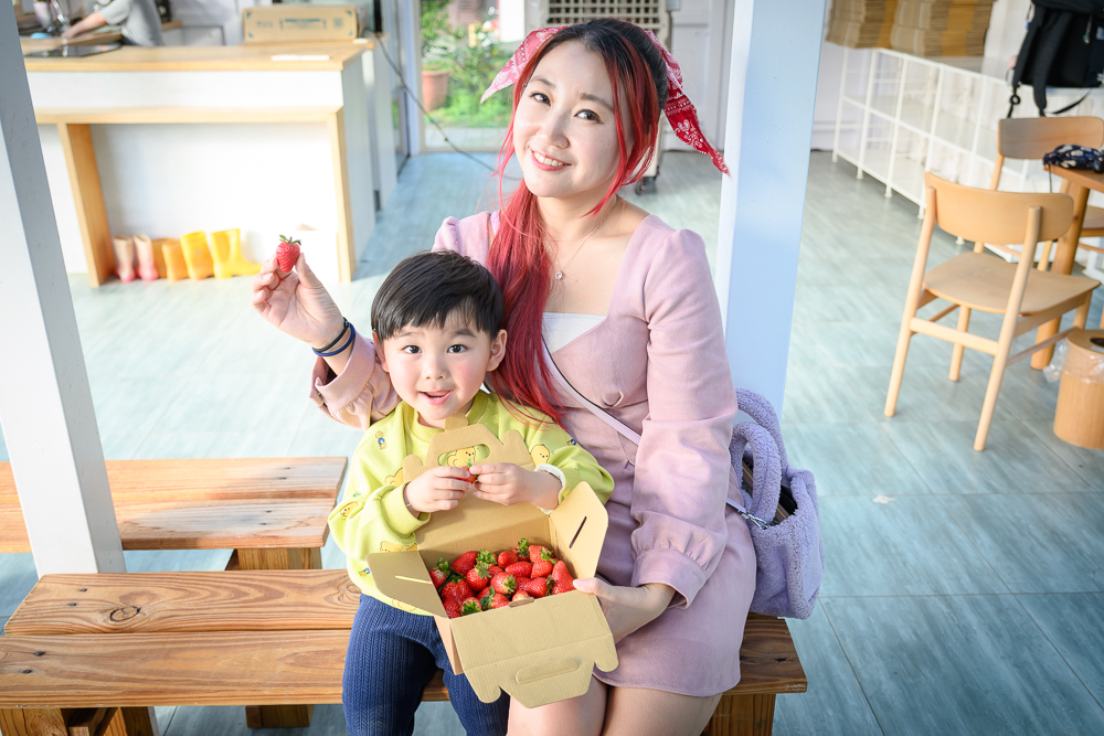 【2025銅鑼景點一日遊】TOP10個銅鑼景點推薦,苗栗親子景點,哈比屋.龍貓站牌.夢幻城堡.婚紗基地,季節限定杭菊精彩玩!