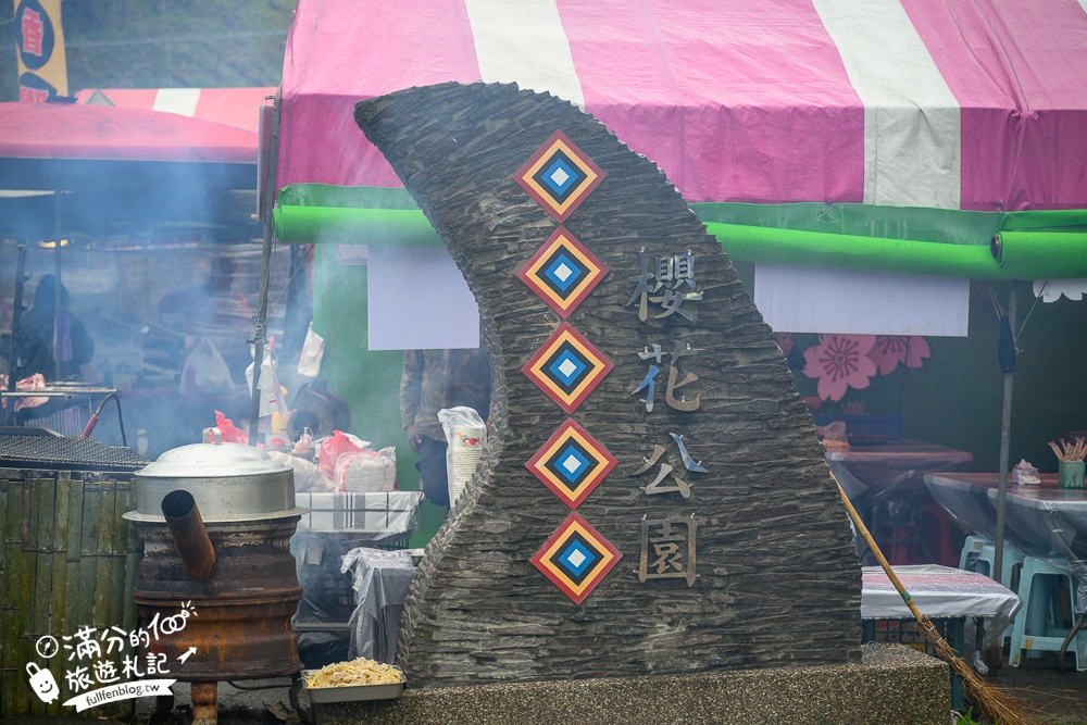 【2025高雄寶山二集團櫻花公園】最新花況.河津櫻.八重櫻粉嫩綻放中,被山嵐包圍的夢幻櫻花森林!