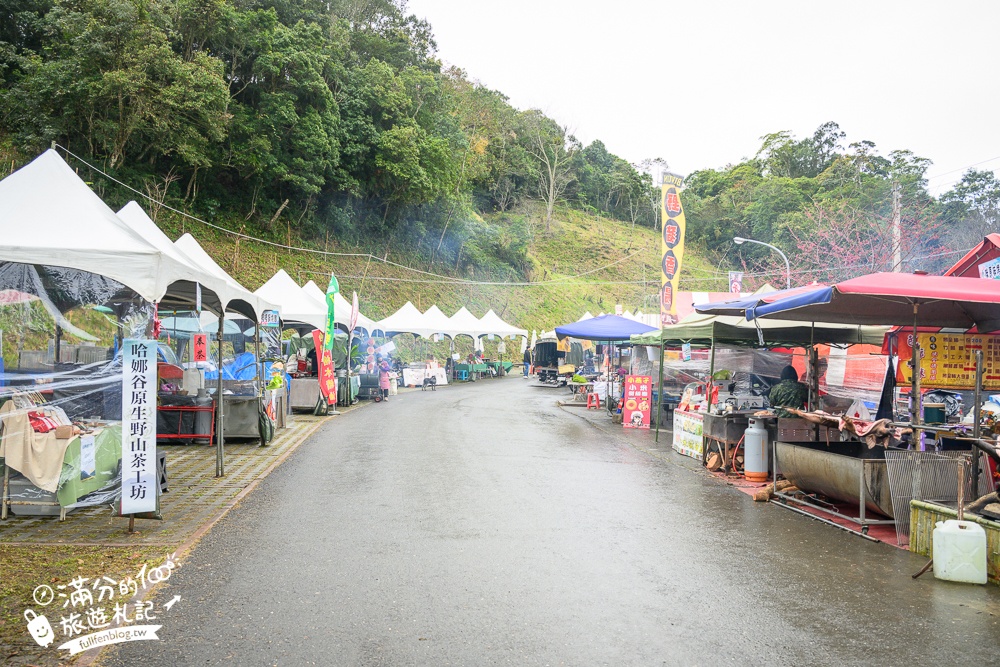 【2025高雄寶山二集團櫻花公園】最新花況.河津櫻.八重櫻粉嫩綻放中,被山嵐包圍的夢幻櫻花森林!