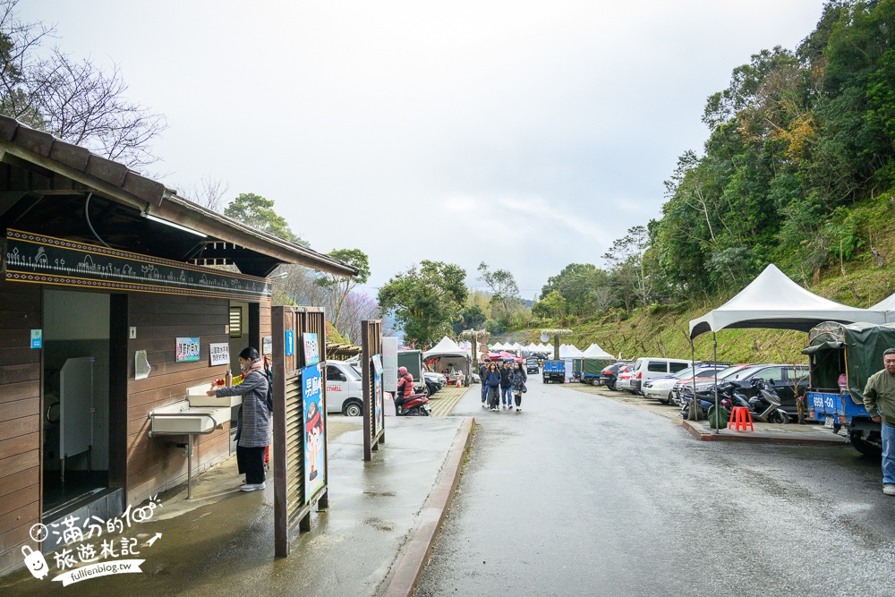 【2025高雄寶山二集團櫻花公園】最新花況.河津櫻.八重櫻粉嫩綻放中,被山嵐包圍的夢幻櫻花森林!