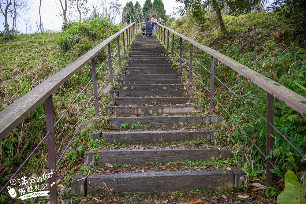 【2025高雄寶山二集團櫻花公園】最新花況.河津櫻.八重櫻粉嫩綻放中,被山嵐包圍的夢幻櫻花森林!