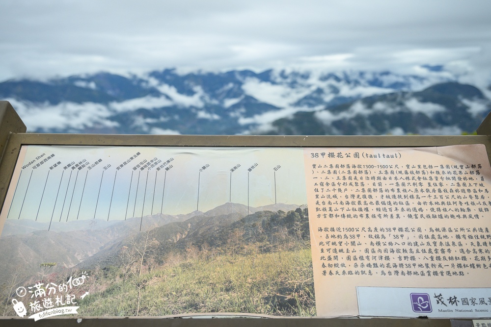 【2025高雄寶山二集團櫻花公園】最新花況.河津櫻.八重櫻粉嫩綻放中,被山嵐包圍的夢幻櫻花森林!