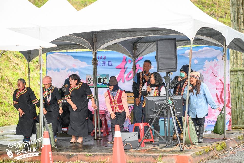 【2025高雄寶山二集團櫻花公園】最新花況.河津櫻.八重櫻粉嫩綻放中,被山嵐包圍的夢幻櫻花森林!