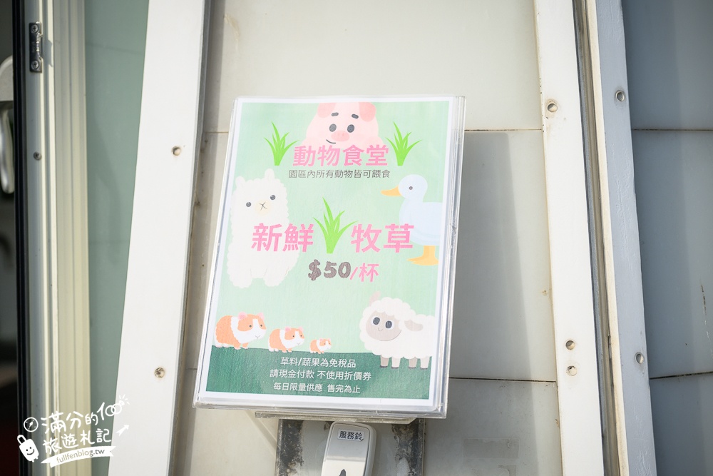 【2025琉璃仙境最新動物園區】環遊世界的萌寵樂園.笑笑羊.羊駝.侏儒山羊陪你玩,還能在水管屋裡吃火鍋!