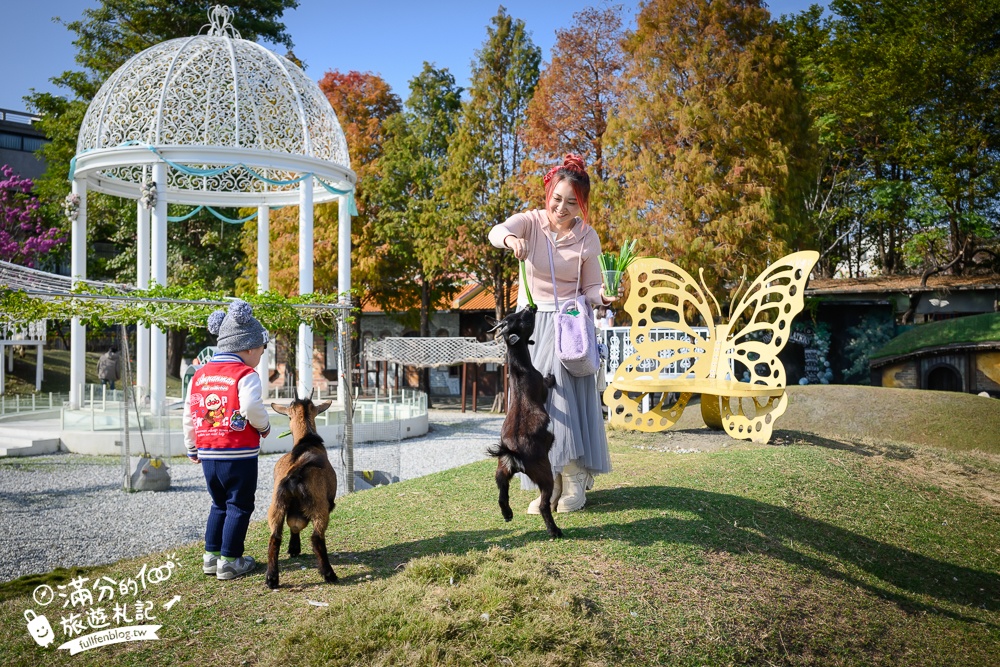 【2025琉璃仙境最新動物園區】環遊世界的萌寵樂園.笑笑羊.羊駝.侏儒山羊陪你玩,還能在水管屋裡吃火鍋!