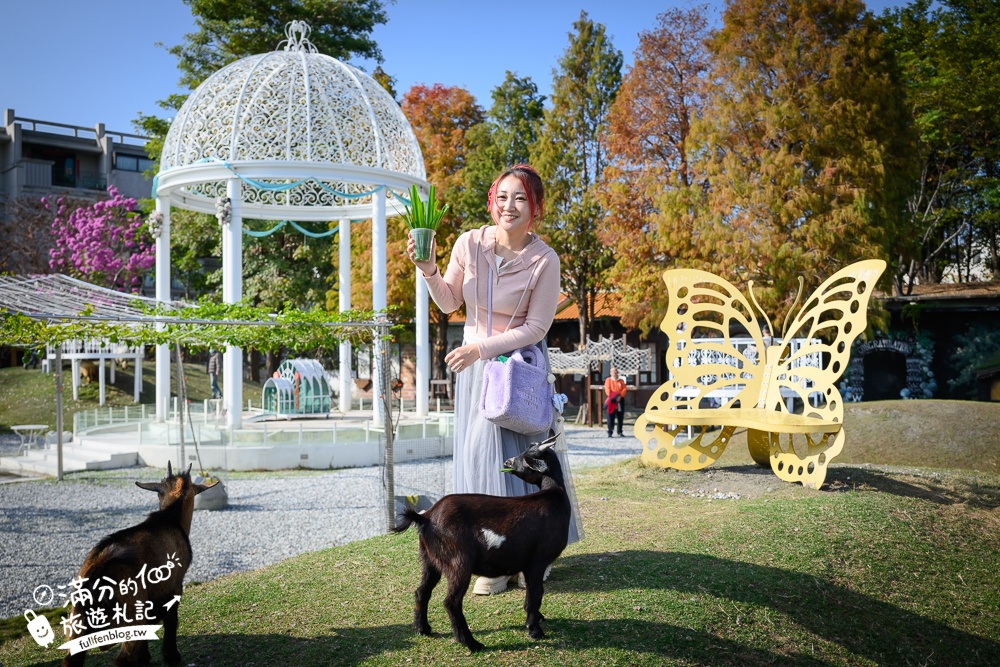 【2025琉璃仙境最新動物園區】環遊世界的萌寵樂園.笑笑羊.羊駝.侏儒山羊陪你玩,還能在水管屋裡吃火鍋!