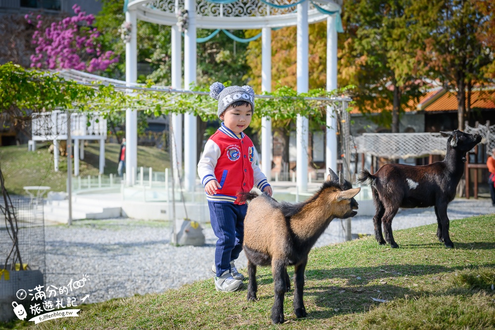 【2025琉璃仙境最新動物園區】環遊世界的萌寵樂園.笑笑羊.羊駝.侏儒山羊陪你玩,還能在水管屋裡吃火鍋!