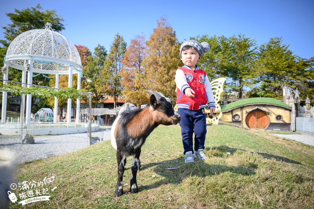 【2025琉璃仙境最新動物園區】環遊世界的萌寵樂園.笑笑羊.羊駝.侏儒山羊陪你玩,還能在水管屋裡吃火鍋!