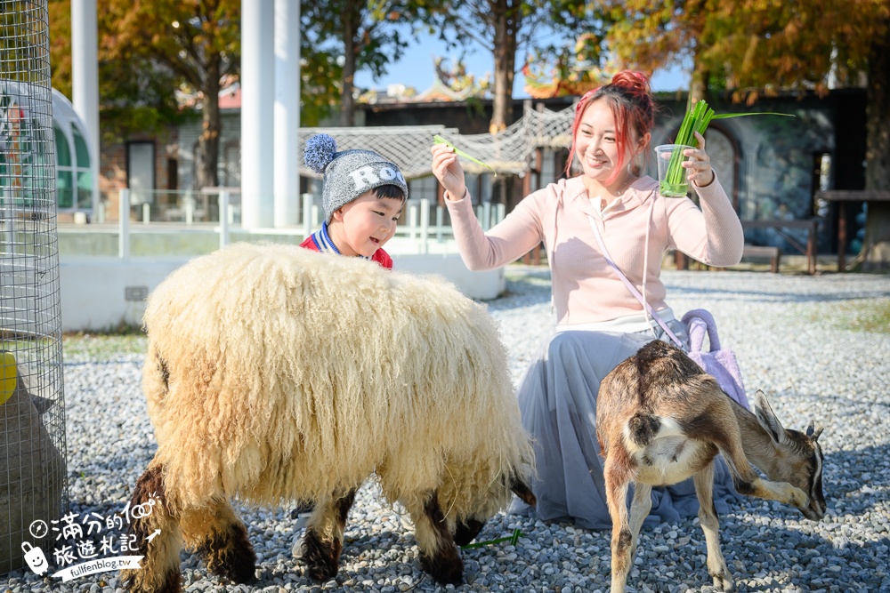 【2025琉璃仙境最新動物園區】環遊世界的萌寵樂園.笑笑羊.羊駝.侏儒山羊陪你玩,還能在水管屋裡吃火鍋!