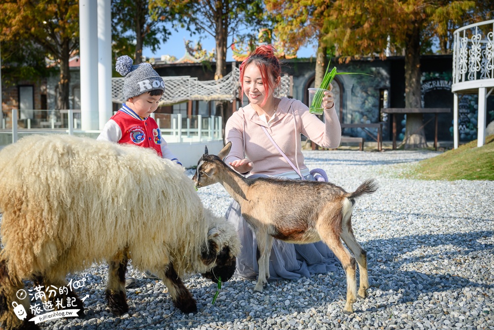 【2025琉璃仙境最新動物園區】環遊世界的萌寵樂園.笑笑羊.羊駝.侏儒山羊陪你玩,還能在水管屋裡吃火鍋!