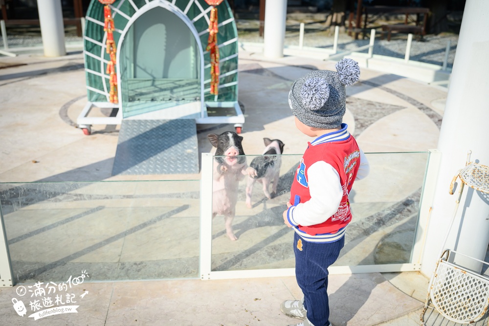 【2025琉璃仙境最新動物園區】環遊世界的萌寵樂園.笑笑羊.羊駝.侏儒山羊陪你玩,還能在水管屋裡吃火鍋!