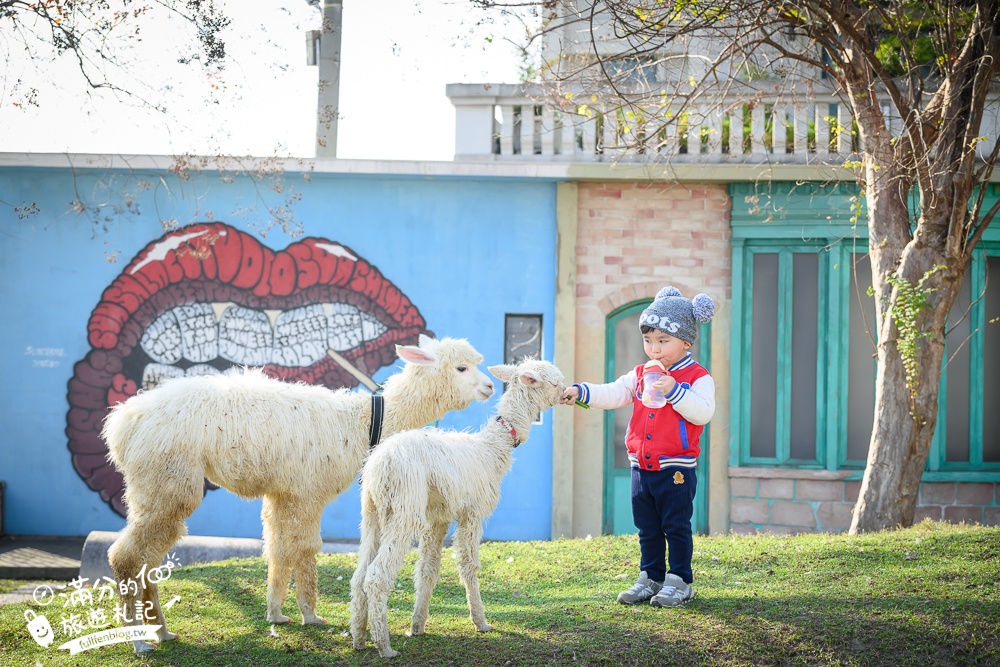 【2025琉璃仙境最新動物園區】環遊世界的萌寵樂園.笑笑羊.羊駝.侏儒山羊陪你玩,還能在水管屋裡吃火鍋!